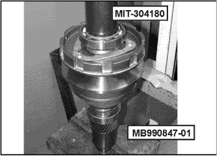 520065657_graphic-text241